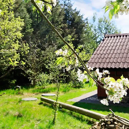 Two-bedroom Holiday In 22 * Blåvand